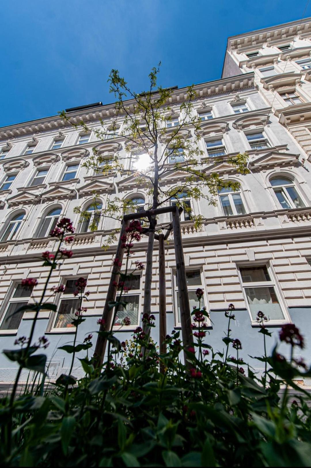 Vienna My City Apartment 1 Bedroom エクステリア 写真